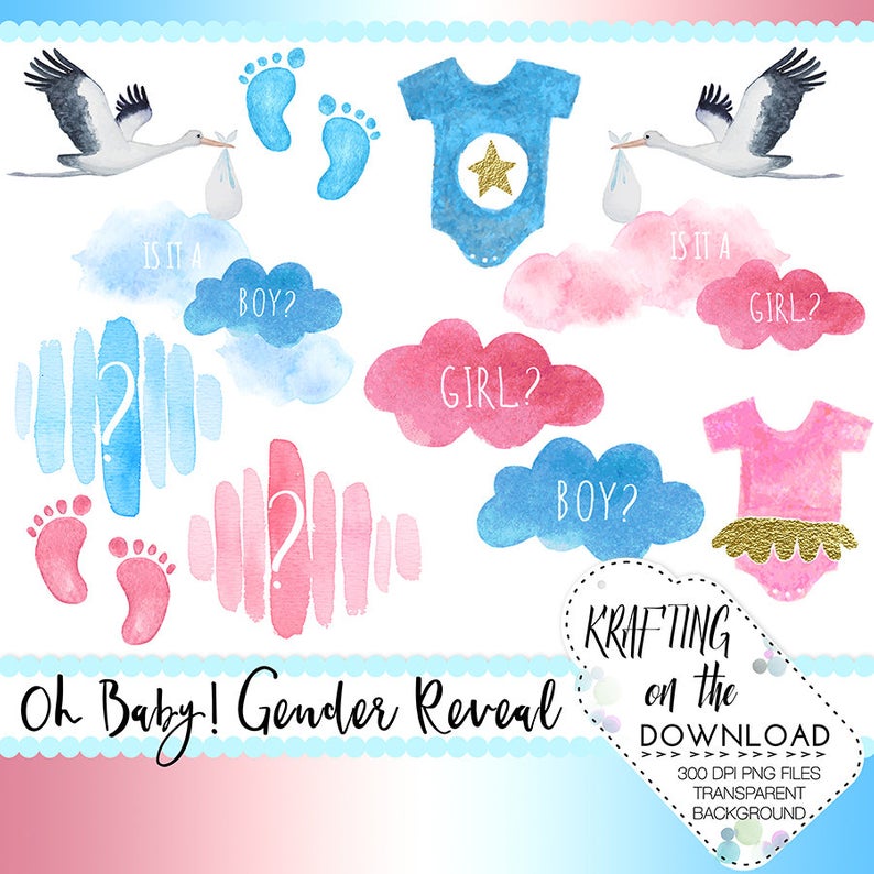 gender reveal clipart set watercolor gender reveal clip art gender reveal  png watercolor gender reveal party png clipart files.