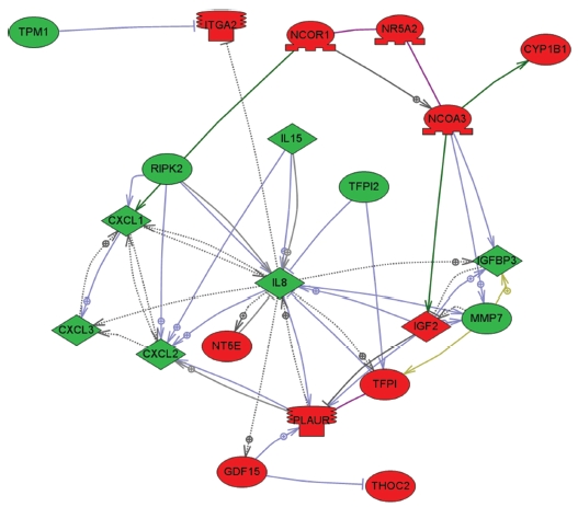 Differential Expression of Gene Profiles in MRGX.