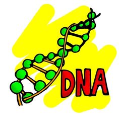 genetics animated clipart - Clipground