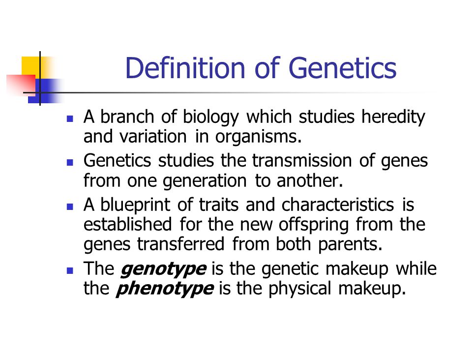 genetics definition essay