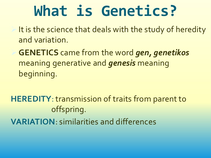 genetics-definition-20-free-cliparts-download-images-on-clipground-2023