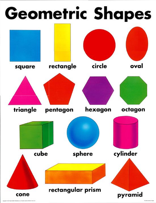 4d shapes make