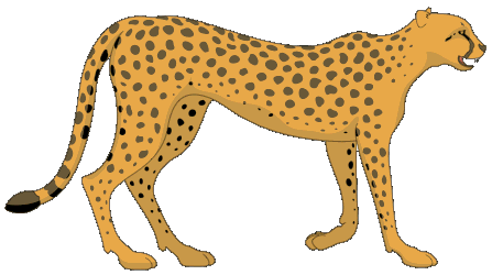 Gepard clipart 20 free Cliparts | Download images on Clipground 2024