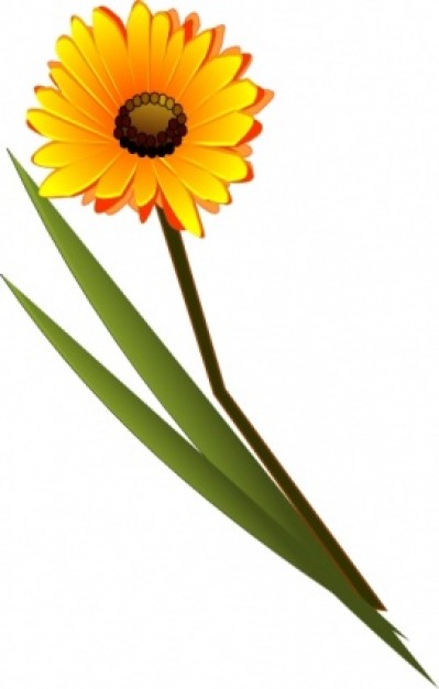 Gerbera Clipart.