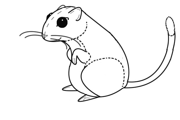 Gerbil Clipart.