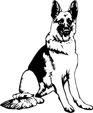 4,140 German Shepherd Stock Illustrations, Cliparts And Royalty Free.