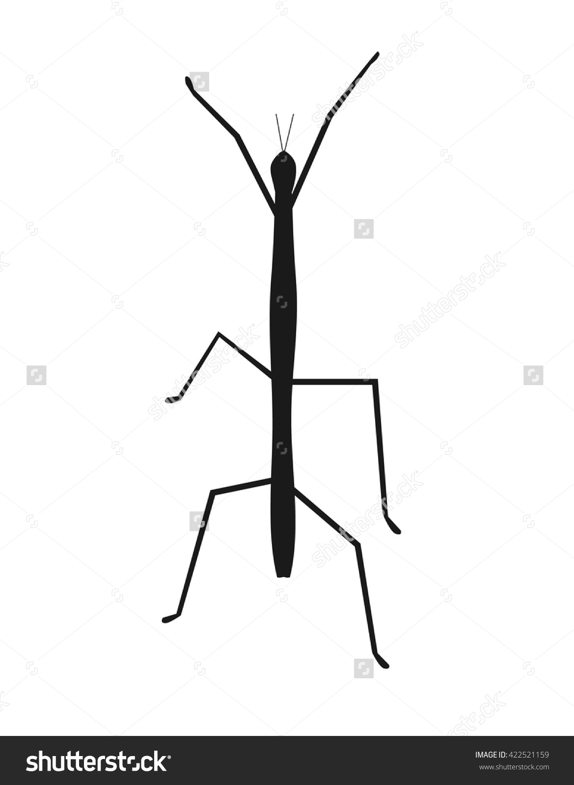 Stick Insect Phasmids Ghost Insects Walking Stock Vector 422521159.