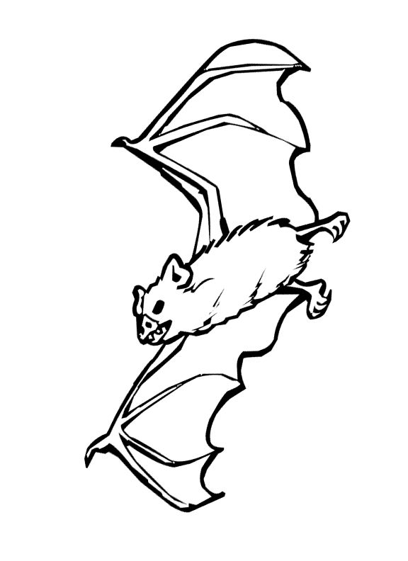 Vampire Bat Clipart.