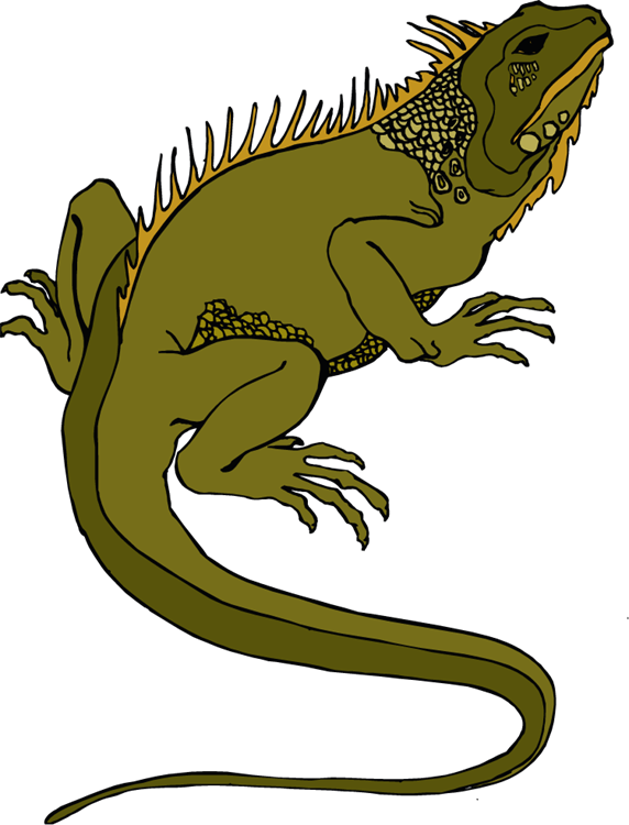 Iguana pet clipart 20 free Cliparts | Download images on Clipground 2021