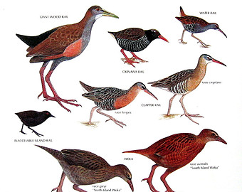 Giant wood rail clipart 20 free Cliparts | Download images on ...