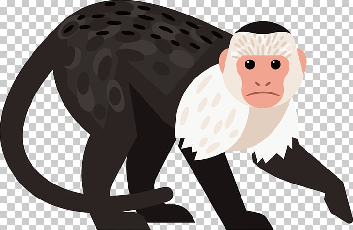 Gibbon Baboons Chimpanzee Monkey, Cute little monkey PNG.