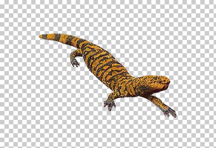 Gila monster Lizard Reptile, Crocodile markings PNG clipart.