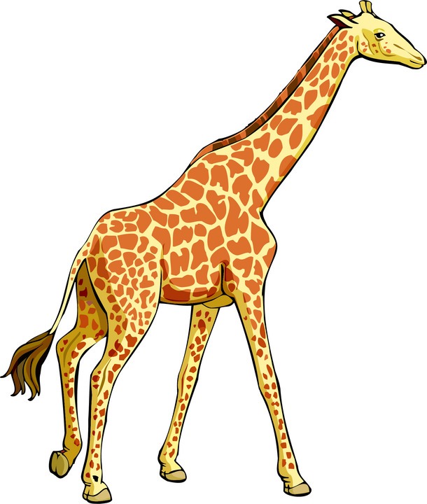Giraffe Clip Art.