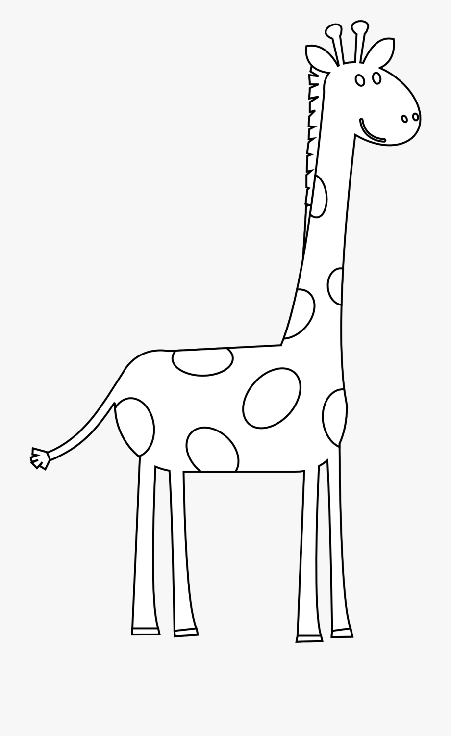 Colorful Animal Giraffe Black White Line Art 999px.