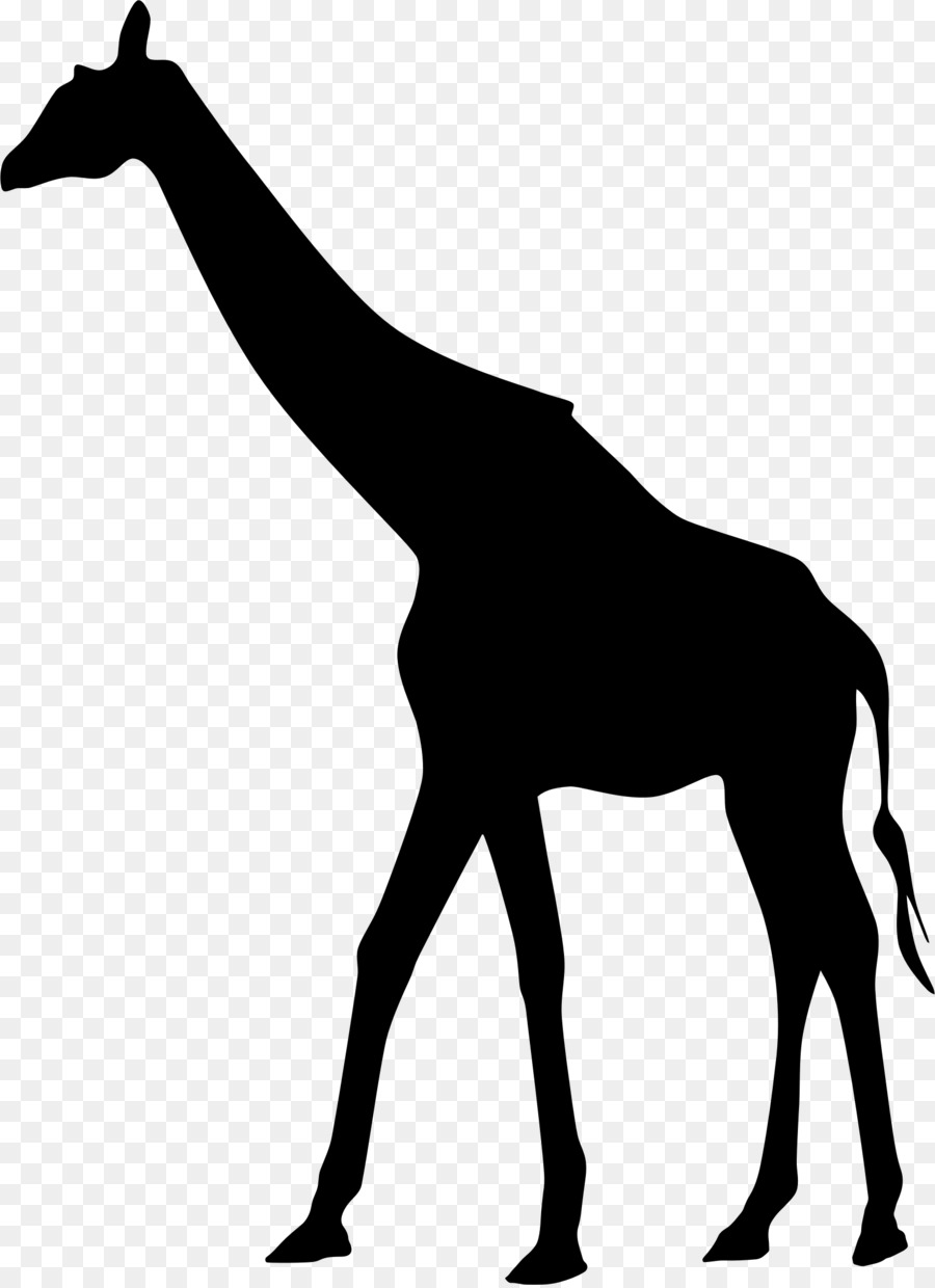 African Tree Silhouette clipart.