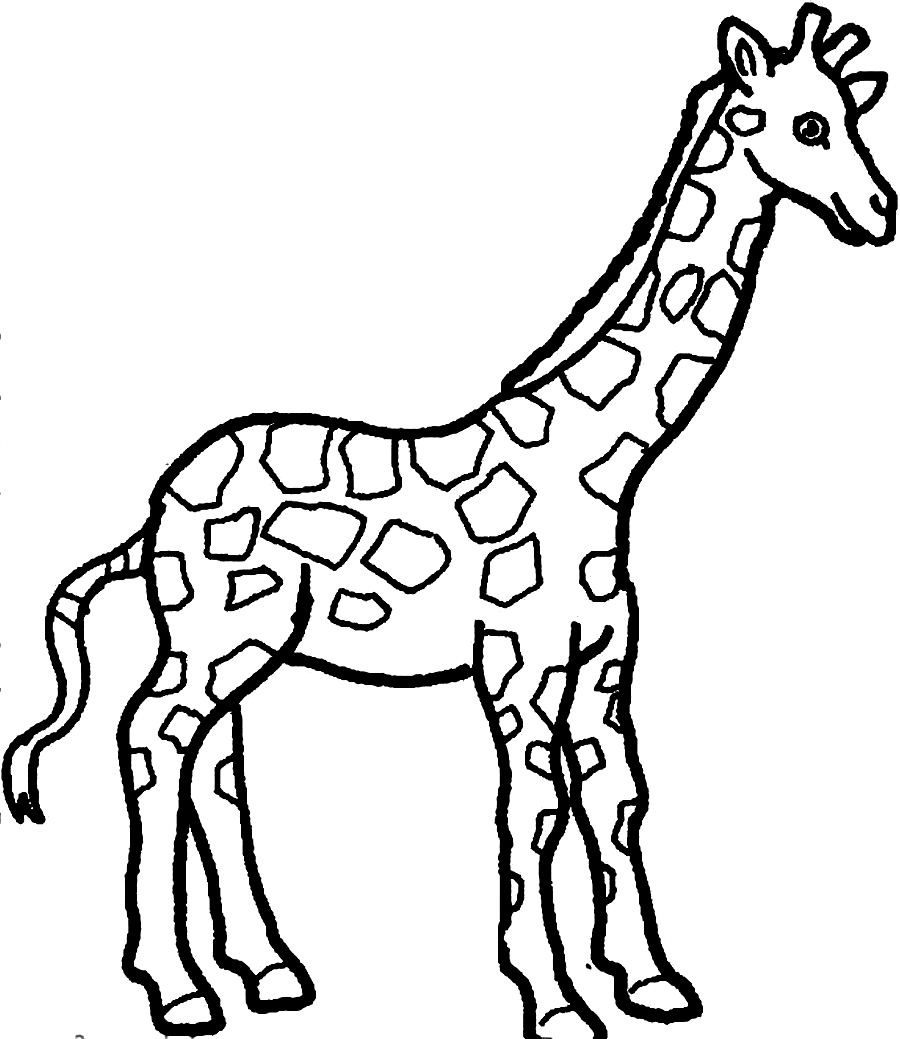 Free Outline Giraffe Cliparts, Download Free Clip Art, Free.