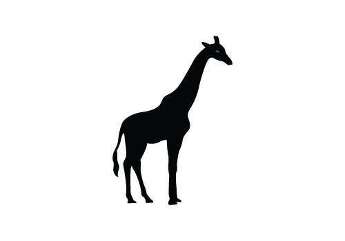 Giraffe Silhouette Vector.