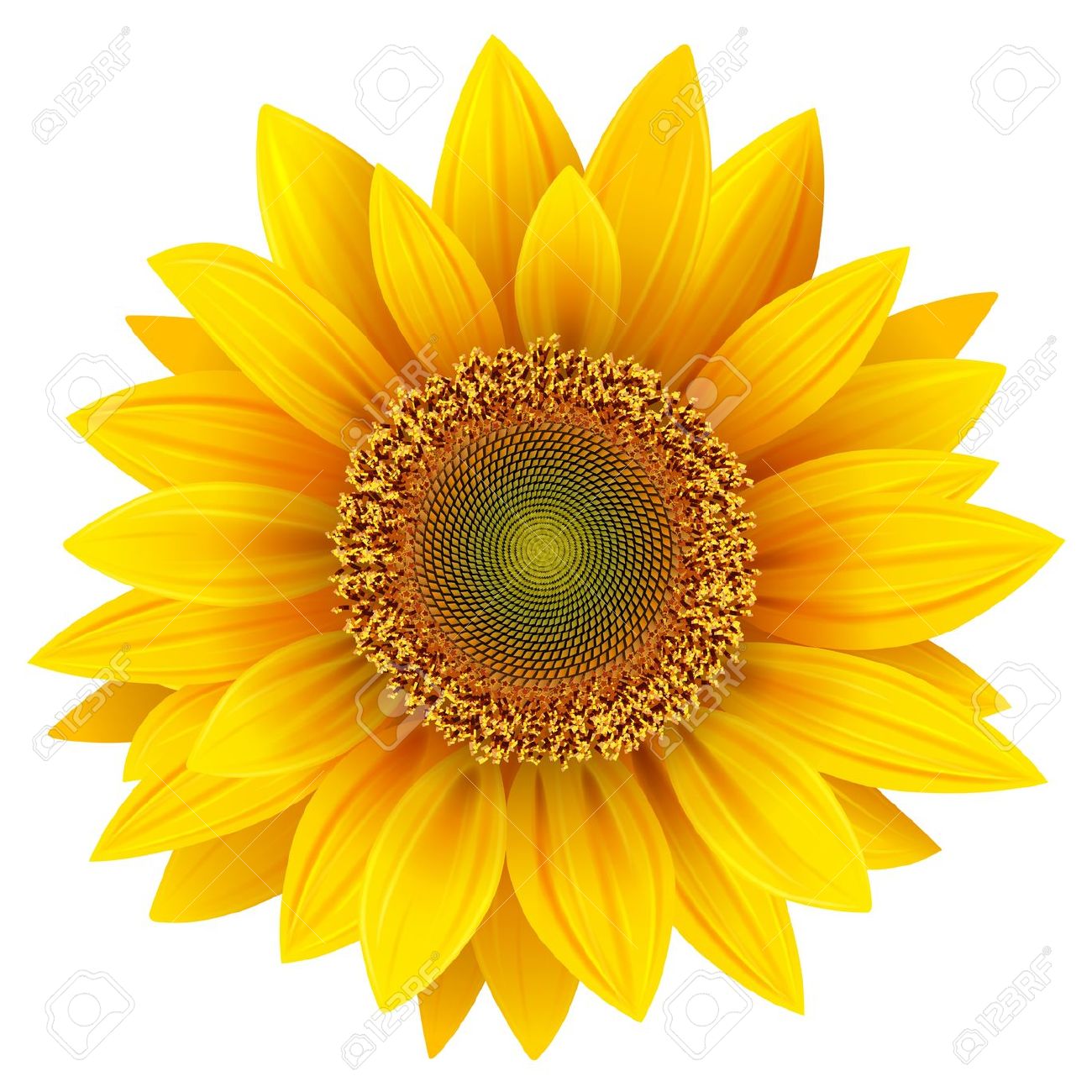 Free Free 179 Realistic Clipart Sunflower Svg SVG PNG EPS DXF File