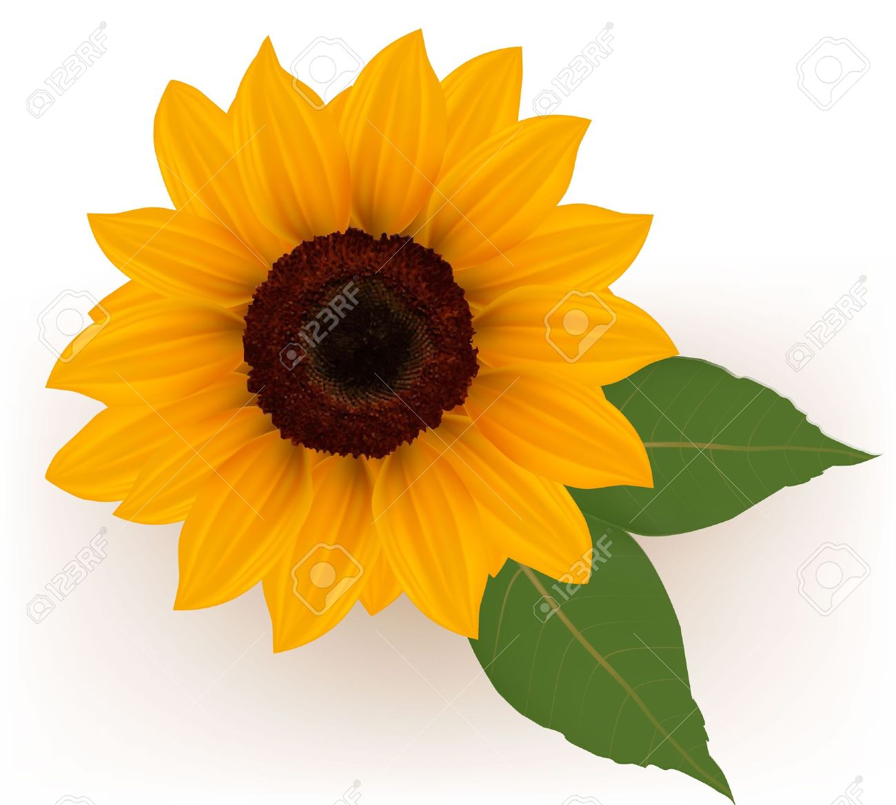 Free Free 68 Realistic Clipart Sunflower Svg SVG PNG EPS DXF File