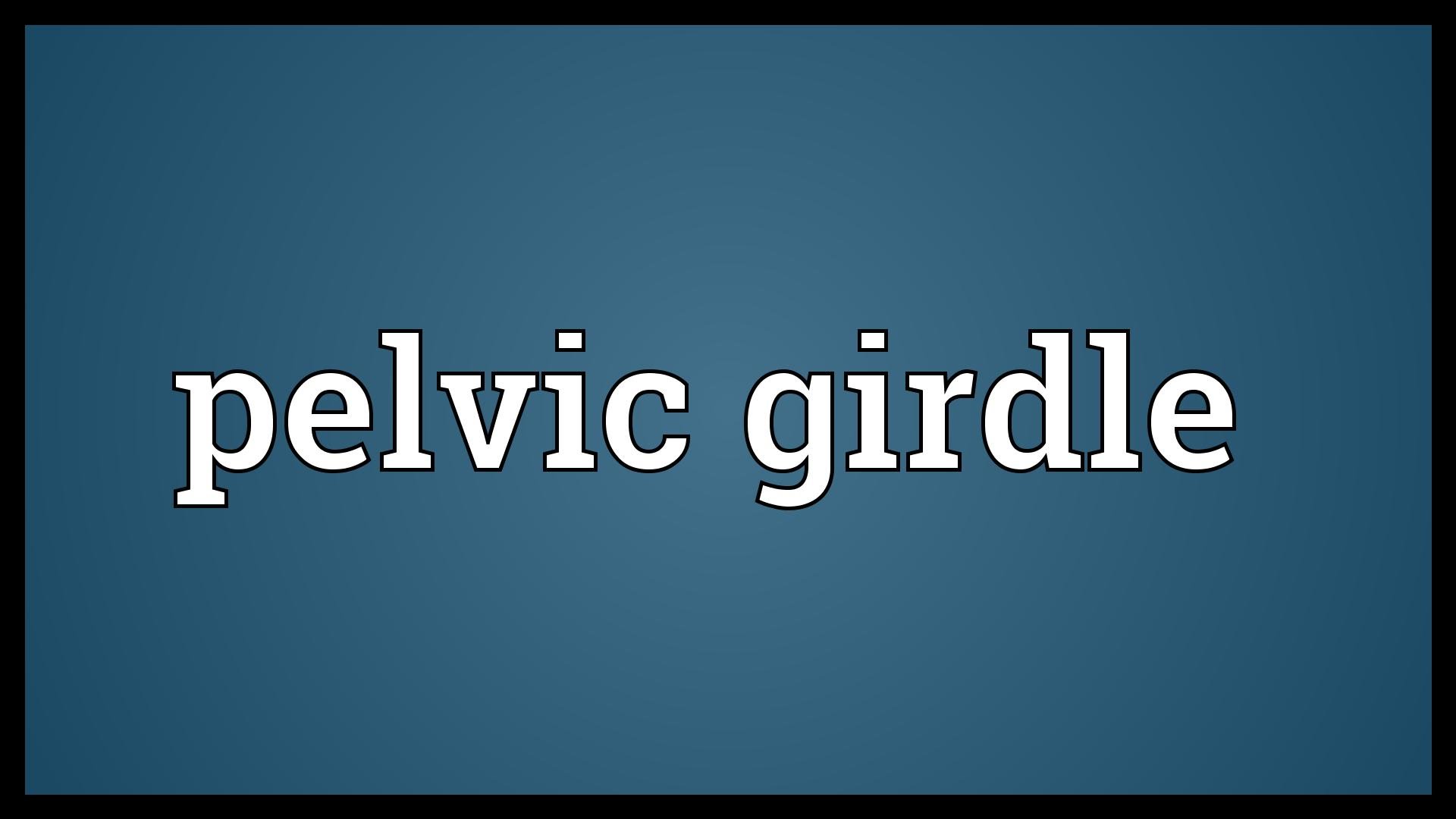 girdle-meaning-20-free-cliparts-download-images-on-clipground-2023