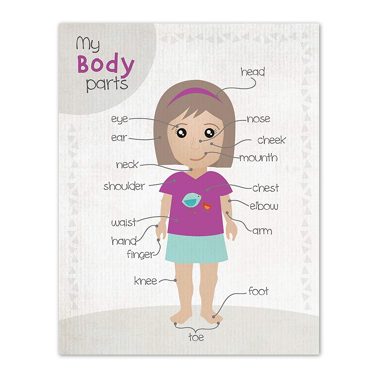Amazon.com: Room Decor For Teen Girls, Body Parts Clipart.