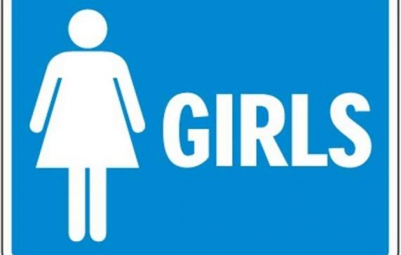 Showing post & media for Boy girl bathroom symbol.
