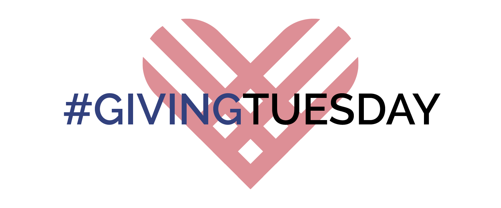 12 Nonprofits to Support this #GivingTuesday.