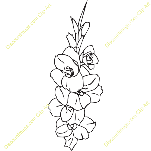 Gladiolus clipart 20 free Cliparts | Download images on Clipground 2023