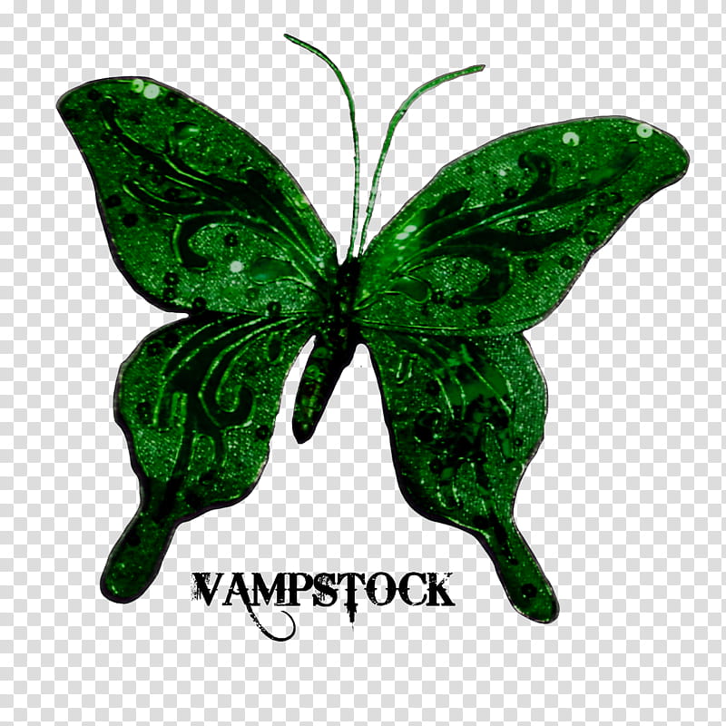 Glitter Butterfly Vamp, green moth illustration transparent.