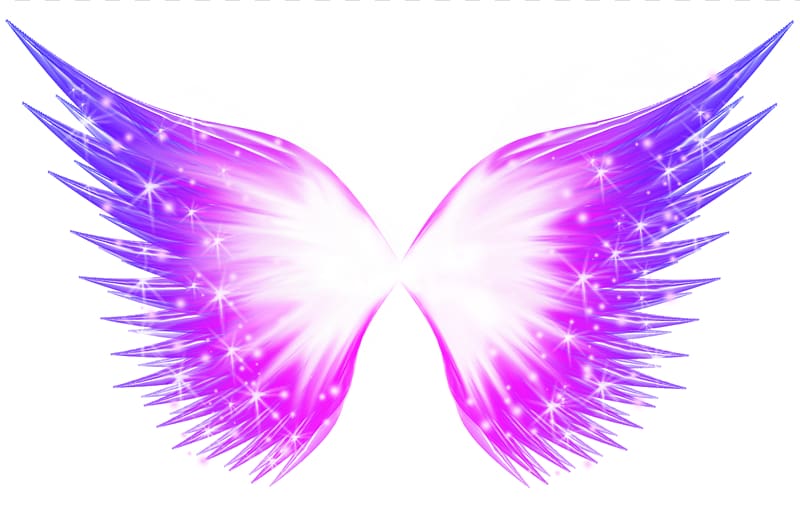 Pink wings , Buffalo wing, Abstract butterfly glow effect.