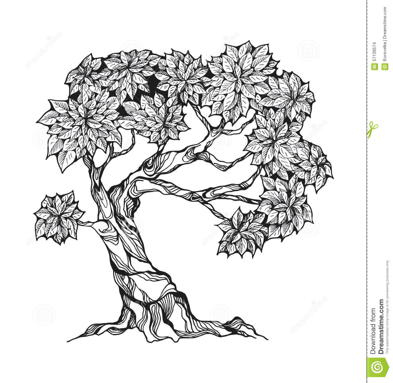 Gnarled Tree With Leaves Stock Vector.
