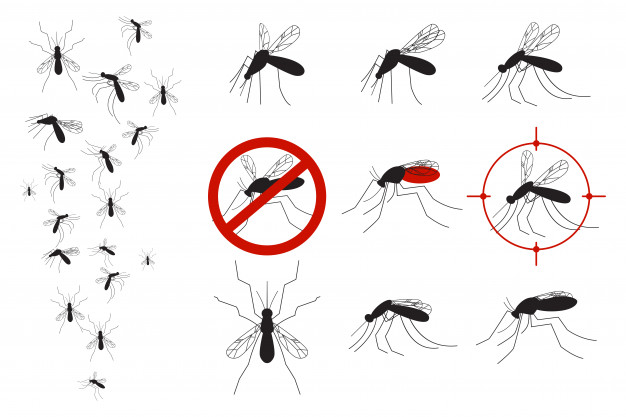 Mosquitoes and gnats vector set Vector.