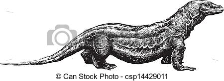 Goanna clipart 20 free Cliparts | Download images on Clipground 2024