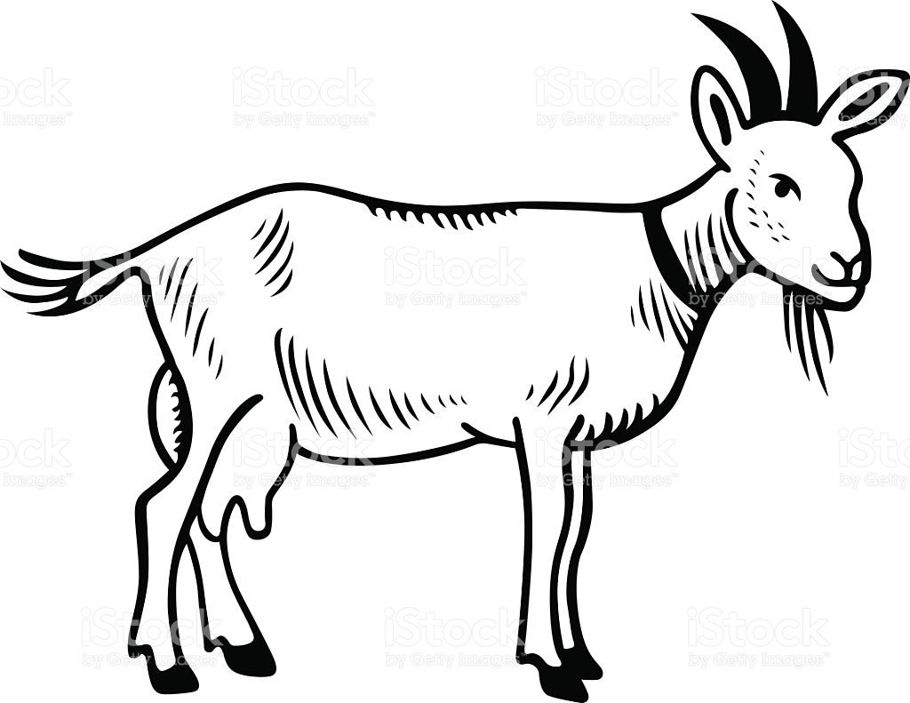 Goat clipart black and white 4 » Clipart Station.