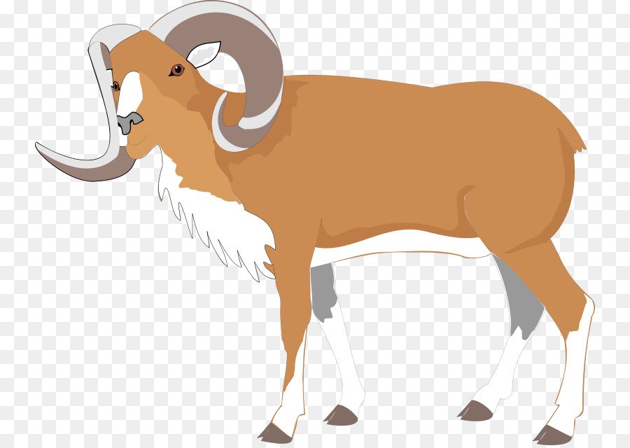 Cartoon Sheep clipart.