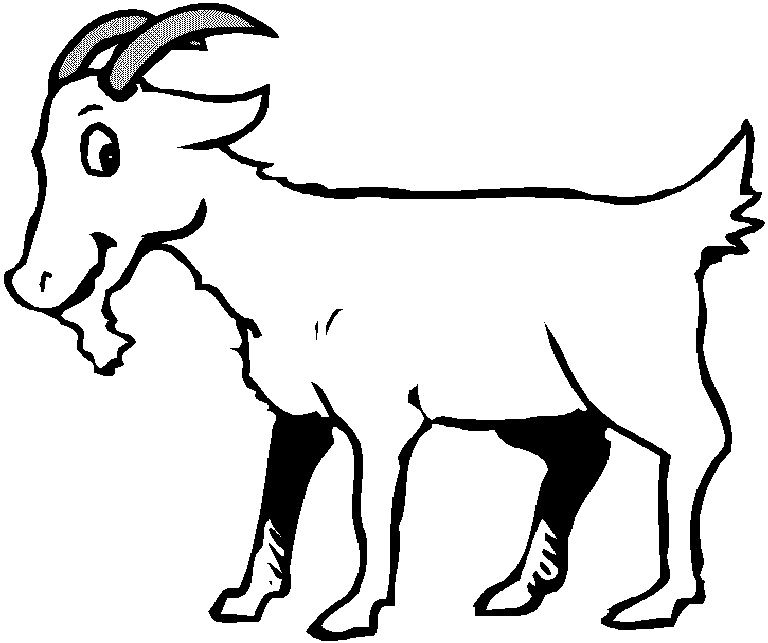 Image Of A Goat.