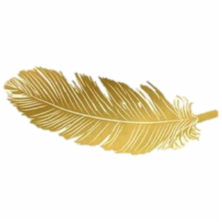 Free Gold Feather PNG Image, Transparent Gold Feather Png Download.