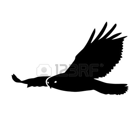 865 Golden Eagle Stock Vector Illustration And Royalty Free Golden.