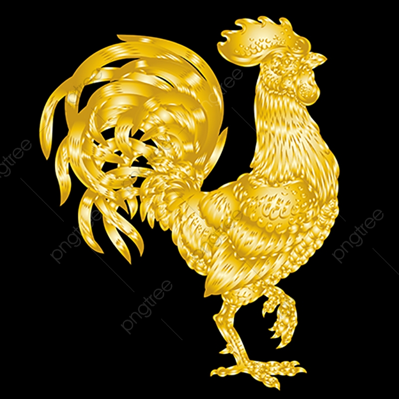 Vector Illustration Golden Rooster On Black Background, Year, New.