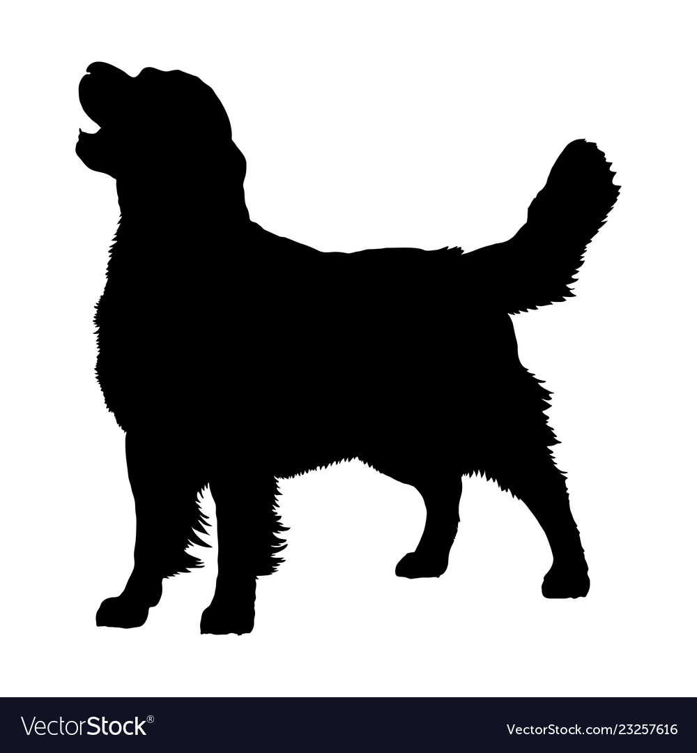 Download golden retriever silhouette clipart free 10 free Cliparts | Download images on Clipground 2020