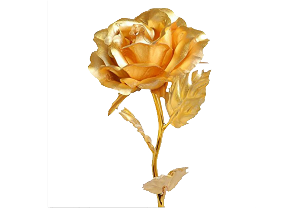 Golden Rose Png 10 Free Cliparts Download Images On Clipground 2024