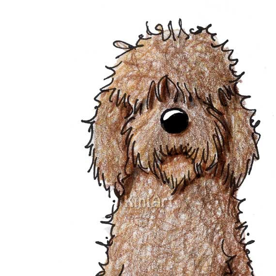 Labradoodle clipart 20 free Cliparts | Download images on Clipground 2024