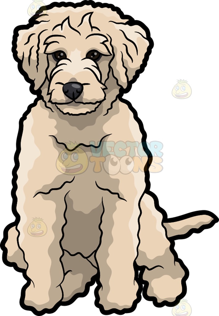 Goldendoodle Dog Clip Art.