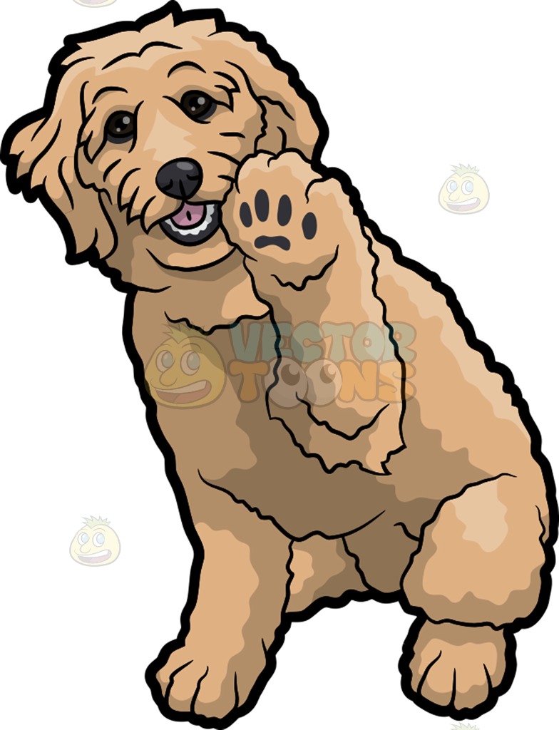 Download Goldendoodle clipart 20 free Cliparts | Download images on ...