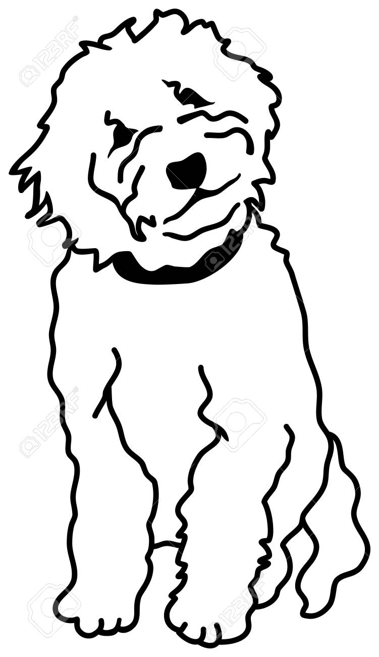 goldendoodle silhouette clipart 10 free Cliparts | Download images on