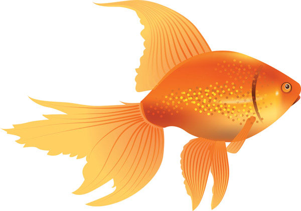 Free Goldfish Cliparts, Download Free Clip Art, Free Clip.