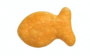 Goldfish crackers clipart 2.