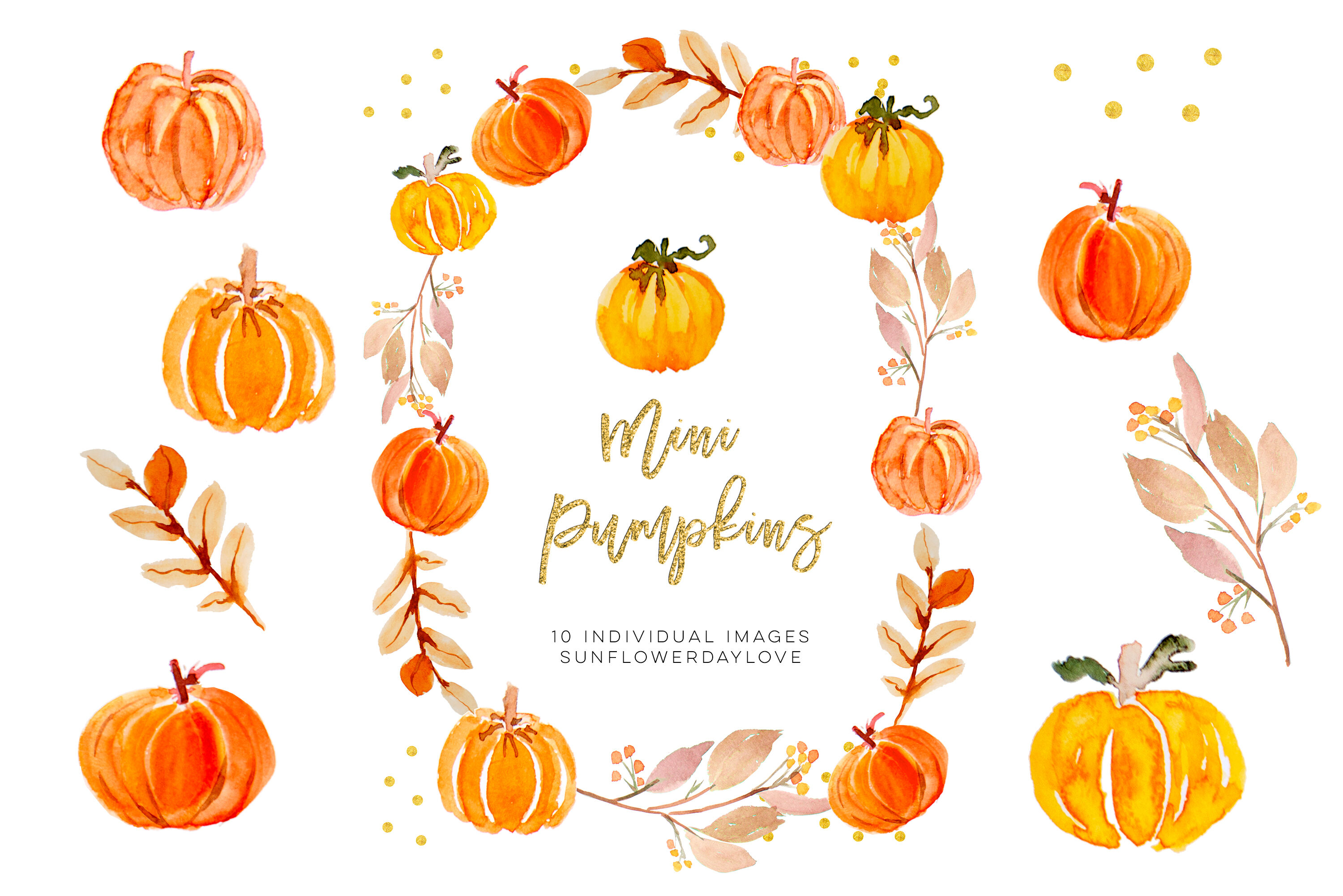 Thanksgiving clipart, Mini Pumpkins clip art, fall digital.