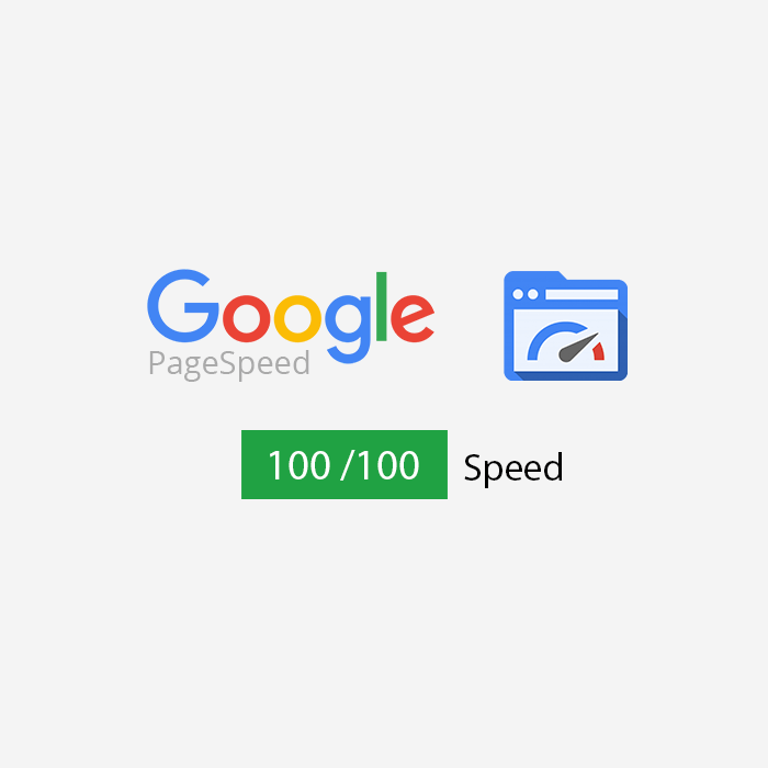 How to Get a Full 100 Score on Google PageSpeed Insights?.
