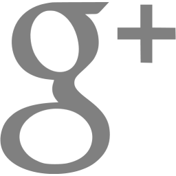 Gray google plus icon.